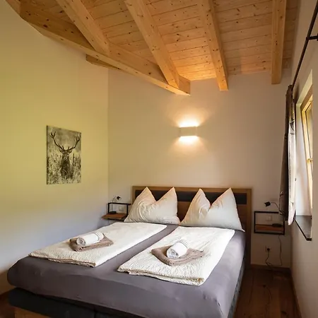 Dachstein Russbach am Pass Gschütt