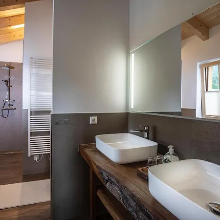 Dachstein Russbach am Pass Gschütt