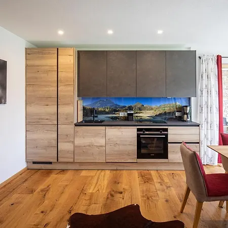 Dachstein Russbach am Pass Gschütt