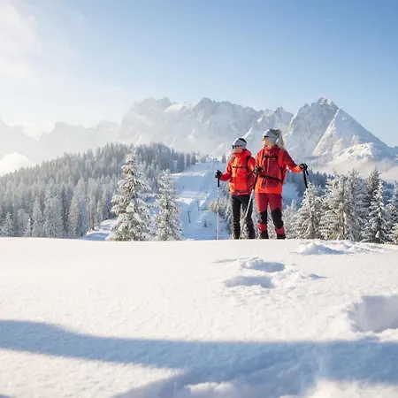 Dachstein Apartman *