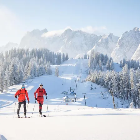 Apartment Dachstein Russbach am Pass Gschütt