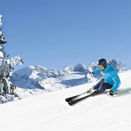 Dachstein Russbach am Pass Gschütt
